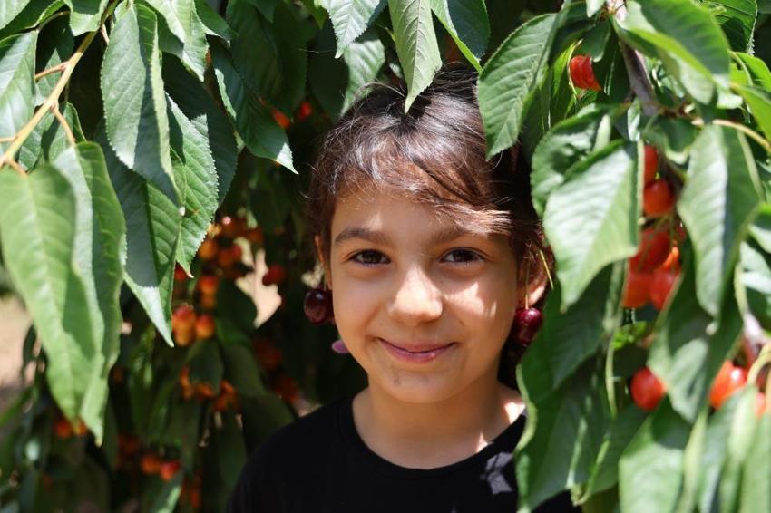 Adana'da üretiliyor, dünya markası olmaya aday! Rusya ve Avrupa ülkelerine ihraç ediliyor