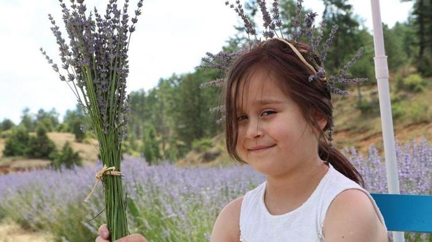 Adana'da kelebekler diyarında mavi kelebeği fotoğraflamak için yarıştılar