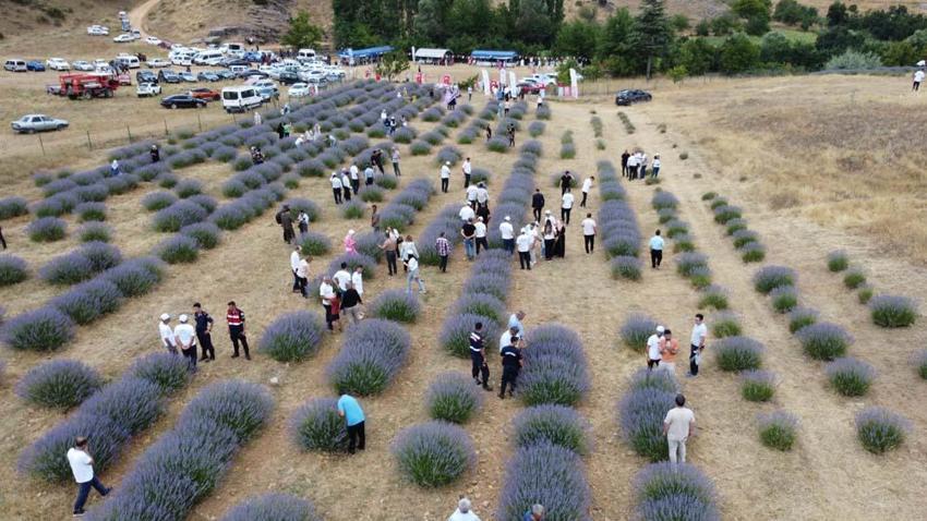 Adana'da kelebekler diyarında mavi kelebeği fotoğraflamak için yarıştılar