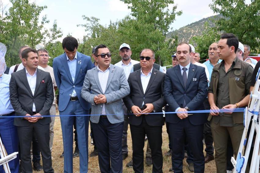 Yüzlerce fotoğrafçı akın etti! Geleneksel Saimbeyli kelebeği gözlem etkinliği başladı 