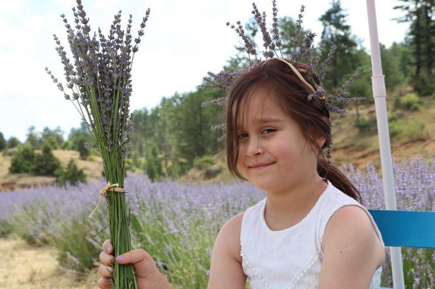 Yüzlerce fotoğrafçı akın etti! Geleneksel Saimbeyli kelebeği gözlem etkinliği başladı 