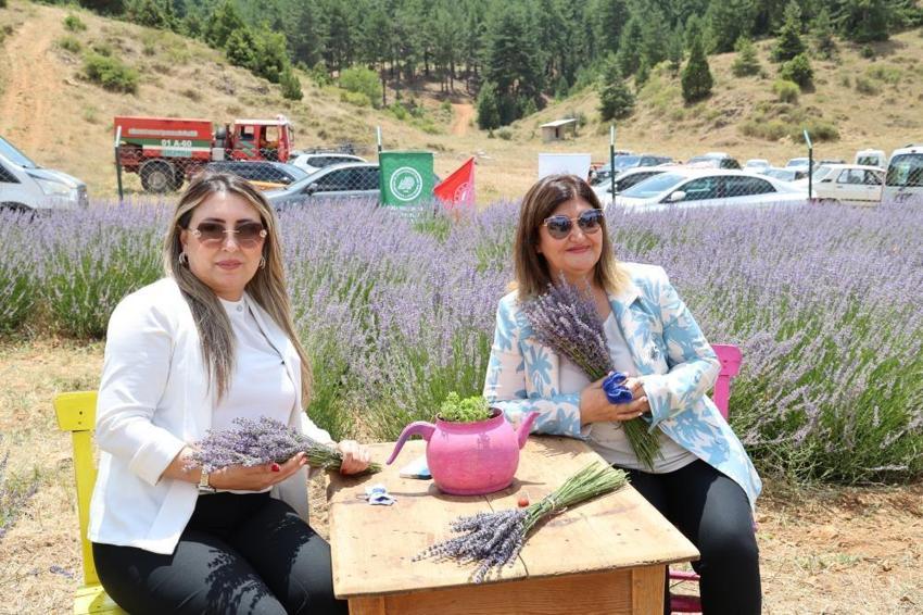Yüzlerce fotoğrafçı akın etti! Geleneksel Saimbeyli kelebeği gözlem etkinliği başladı 