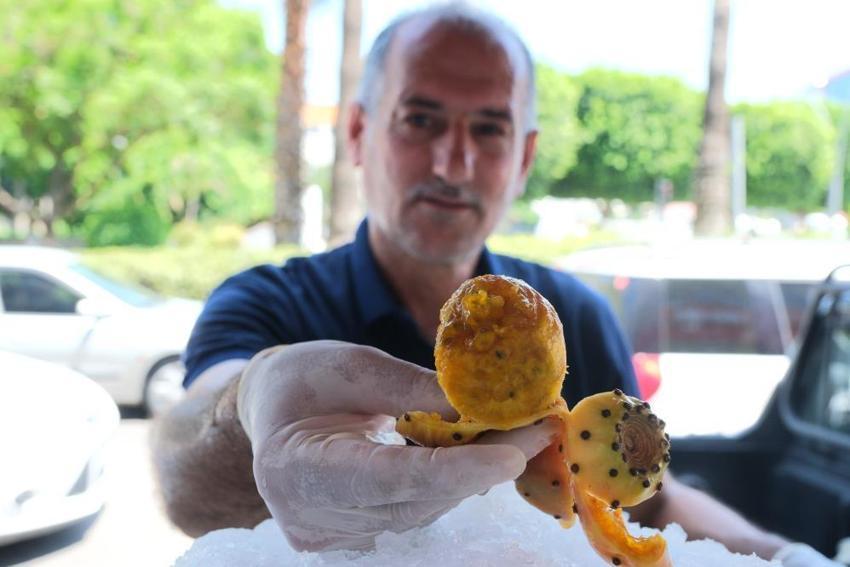 Adana'nın serinleten lezzeti dikenli incir tezgahlarda yerini aldı! Kilosu 15 liradan satılıyor, vatandaşlar akın ediyor