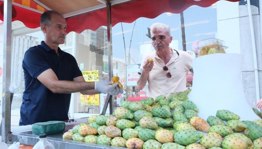 Adana'nın serinleten lezzeti dikenli incir tezgahlarda yerini aldı! Kilosu 15 liradan satılıyor, vatandaşlar akın ediyor