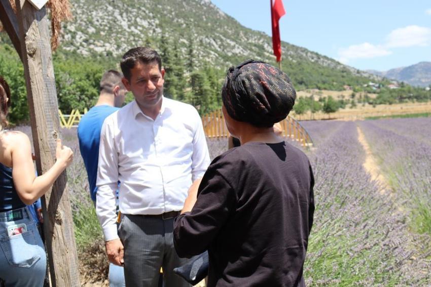Adana Feke Lavanta Festivali'ne 'kalkınma' arası