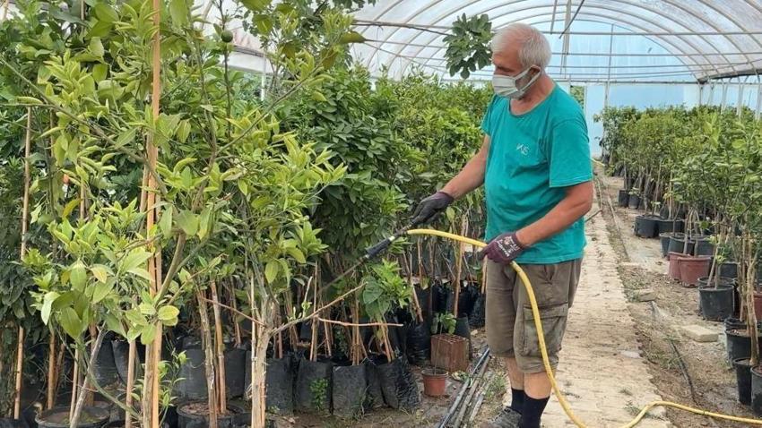 Bilinçsiz gübre, ilaç ve hormon kullanımının tarımsal ürünlerin kalitesini bozuyor