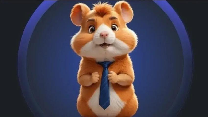 HAMSTER KOMBAT GÜNLÜK ŞİFRE KOMBO KARTLARI 14 TEMMUZ 2024! Hamster Kombat günlük combo kart ve şifre nedir? Hamster kombat günlük şifre 14 Temmuz