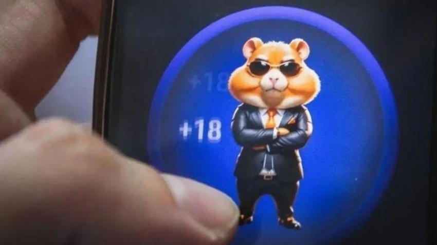 HAMSTER KOMBAT GÜNLÜK ŞİFRE KOMBO KARTLARI 14 TEMMUZ 2024! Hamster Kombat günlük combo kart ve şifre nedir? Hamster kombat günlük şifre 14 Temmuz