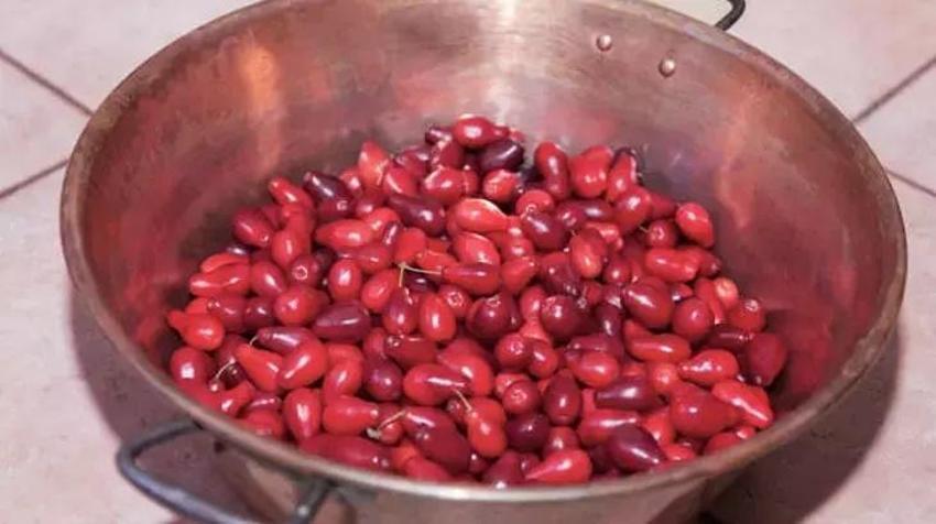 Etkisi ağıza girdiği anda başlıyor! İdrar yolunu lavaboaç gibi temizler, yanmayı anında kesiyor: Koyu rengini antioksidanlardan alıyor