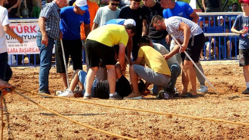 Muğla'da rakibine yenilen boğa, öfkesini sahibinden çıkardı