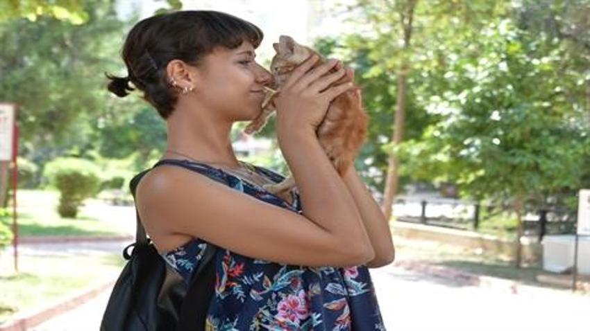 Adana Veteriner Hekimler Odası Başkanı Köse: Sahipsiz kedilerin birden yok olursa sokaklar Paris'e döner!  