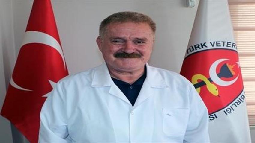 Adana Veteriner Hekimler Odası Başkanı Köse: Sahipsiz kedilerin birden yok olursa sokaklar Paris'e döner!  