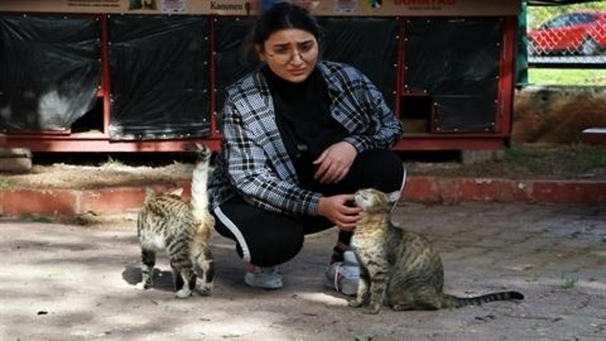 Adana Veteriner Hekimler Odası Başkanı Köse: Sahipsiz kedilerin birden yok olursa sokaklar Paris'e döner!  