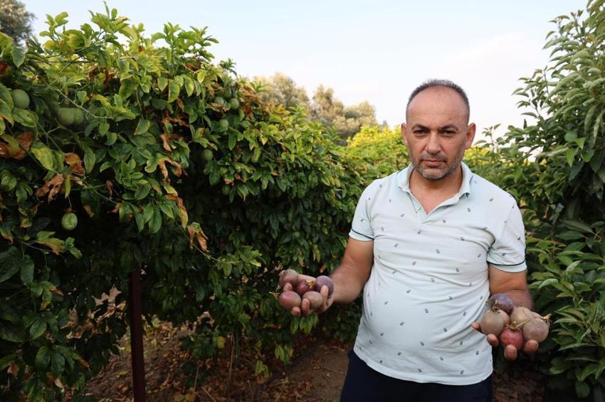 Adanalı çiftçi atıl arsayı üretim merkezine çevirdi! Birçok ilden sipariş yağıyor