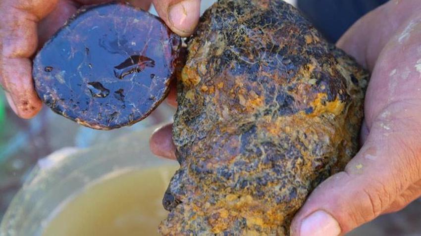 Bayburt'ta yıllarca yöre halkı tarafından çıra olarak yakıldı! Ekonomik değeri herkesi pişman etti