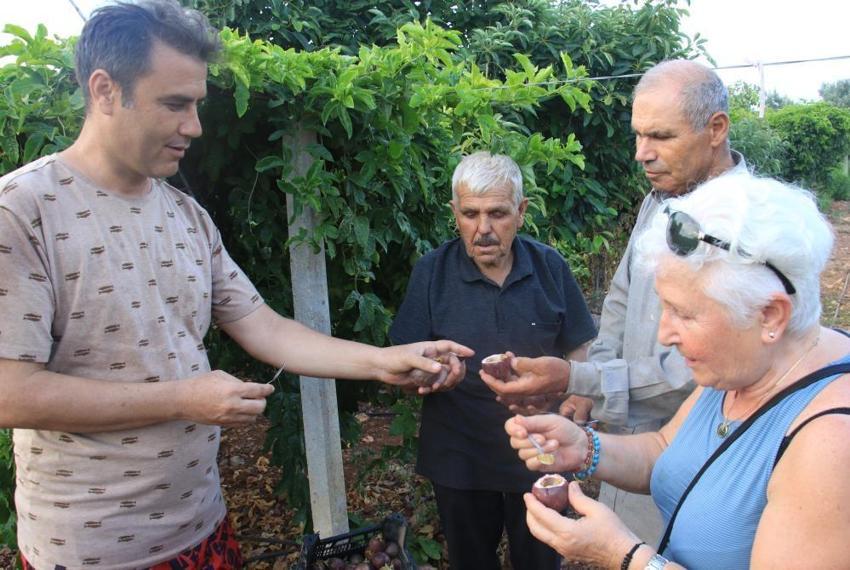 Deneme amaçlı ektiği tropik meyve yüzünü güldürdü: Kilosu 100 TL'den kapış kapış gidiyor