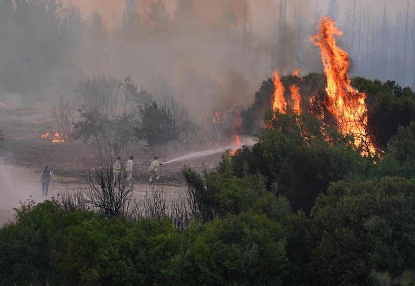 İzmir alev alev! Bergama, Foça ve Buca'da orman yangınları: Tedbir amaçlı bir site boşaltıldı