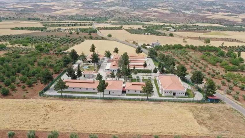 Sokak hayvanları çözümüne Gaziantep modeli: Hayvan dostu şehir olmak için çalışıyor