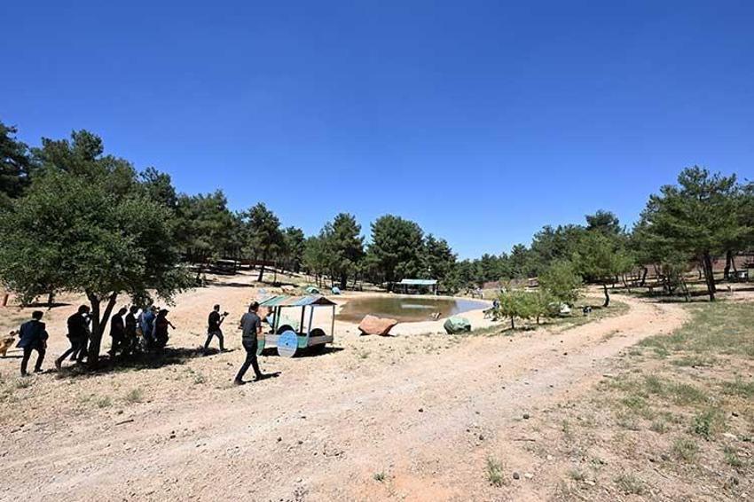 Sokak hayvanları çözümüne Gaziantep modeli: Hayvan dostu şehir olmak için çalışıyor