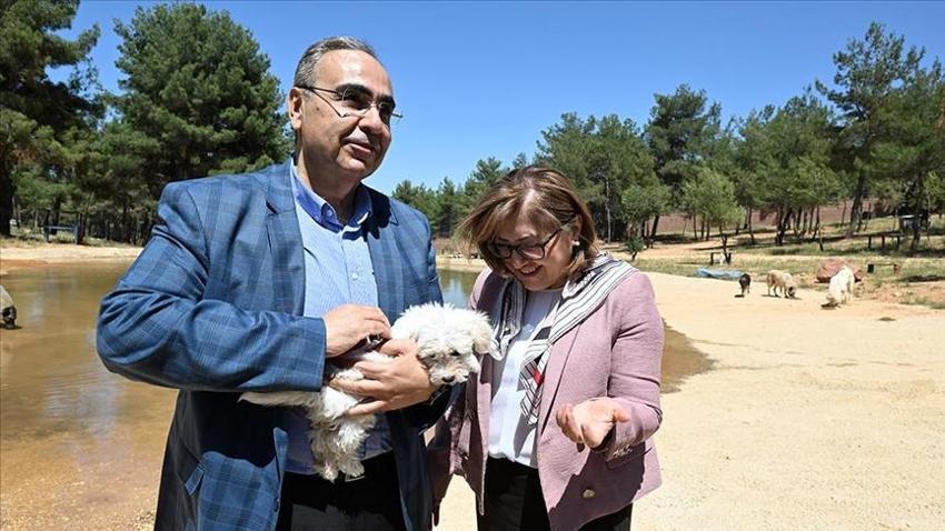 Sokak hayvanları çözümüne Gaziantep modeli: Hayvan dostu şehir olmak için çalışıyor