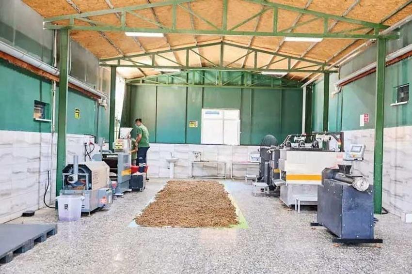 Sokak hayvanları çözümüne Gaziantep modeli: Hayvan dostu şehir olmak için çalışıyor