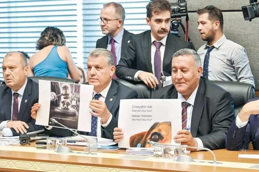 Sokak hayvanları çözümüne Gaziantep modeli: Hayvan dostu şehir olmak için çalışıyor