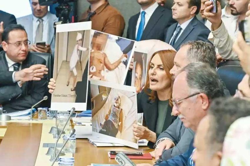 Sokak hayvanları çözümüne Gaziantep modeli: Hayvan dostu şehir olmak için çalışıyor