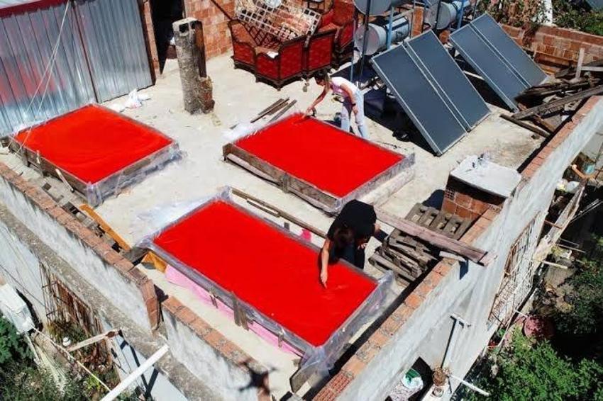 Adana'da salçalık biberin kilo fiyatı belli oldu! Biberi kaça aldınız sezonu açıldı: Adana annelerinin milli görevi salçalık biber temizleme başladı