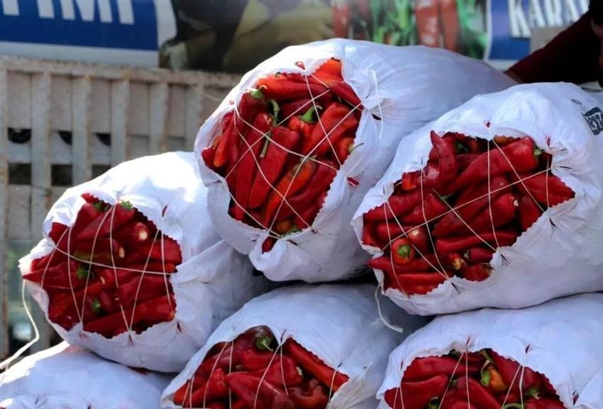 Adana'da salçalık biberin kilo fiyatı belli oldu! Biberi kaça aldınız sezonu açıldı: Adana annelerinin milli görevi salçalık biber temizleme başladı
