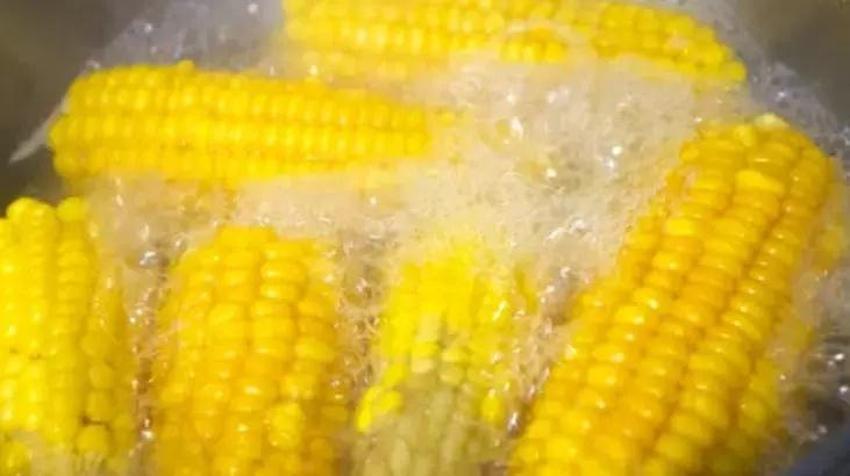 Taze süt mısırını kaynatmada inanılması güç tüyo; Suya 1 kaşık ekleyince saatlerce bekletmiyor