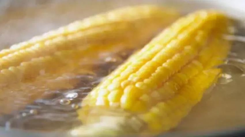 Taze süt mısırını kaynatmada inanılması güç tüyo; Suya 1 kaşık ekleyince saatlerce bekletmiyor