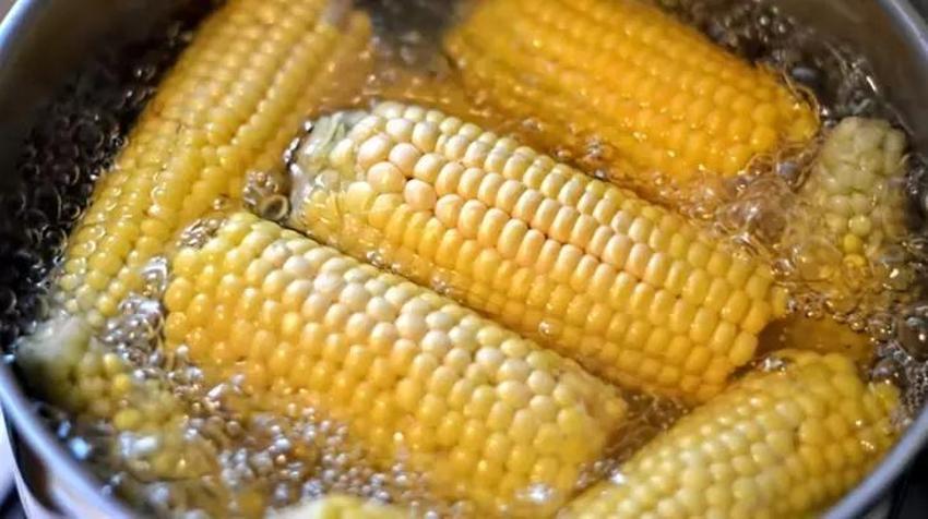 Taze süt mısırını kaynatmada inanılması güç tüyo; Suya 1 kaşık ekleyince saatlerce bekletmiyor