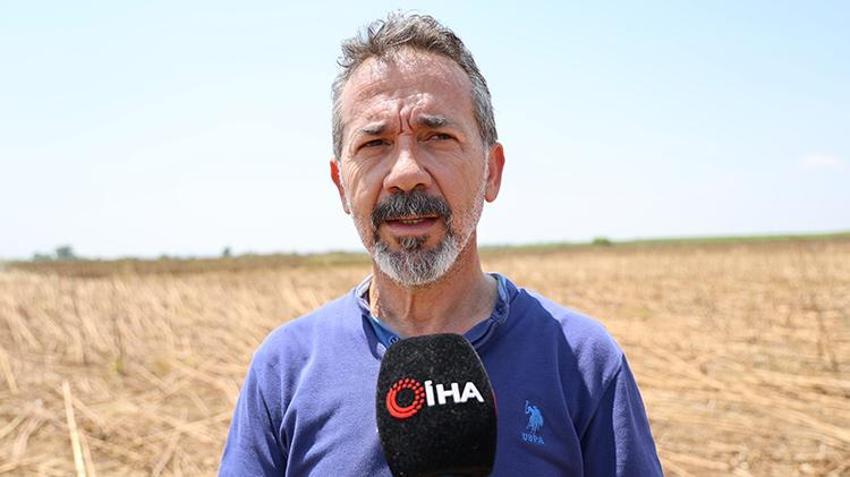 Çukurova'yı kuraklık vurdu! Yüzde 50'den fazla düşüş var 