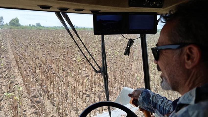 Çukurova'yı kuraklık vurdu! Yüzde 50'den fazla düşüş var 