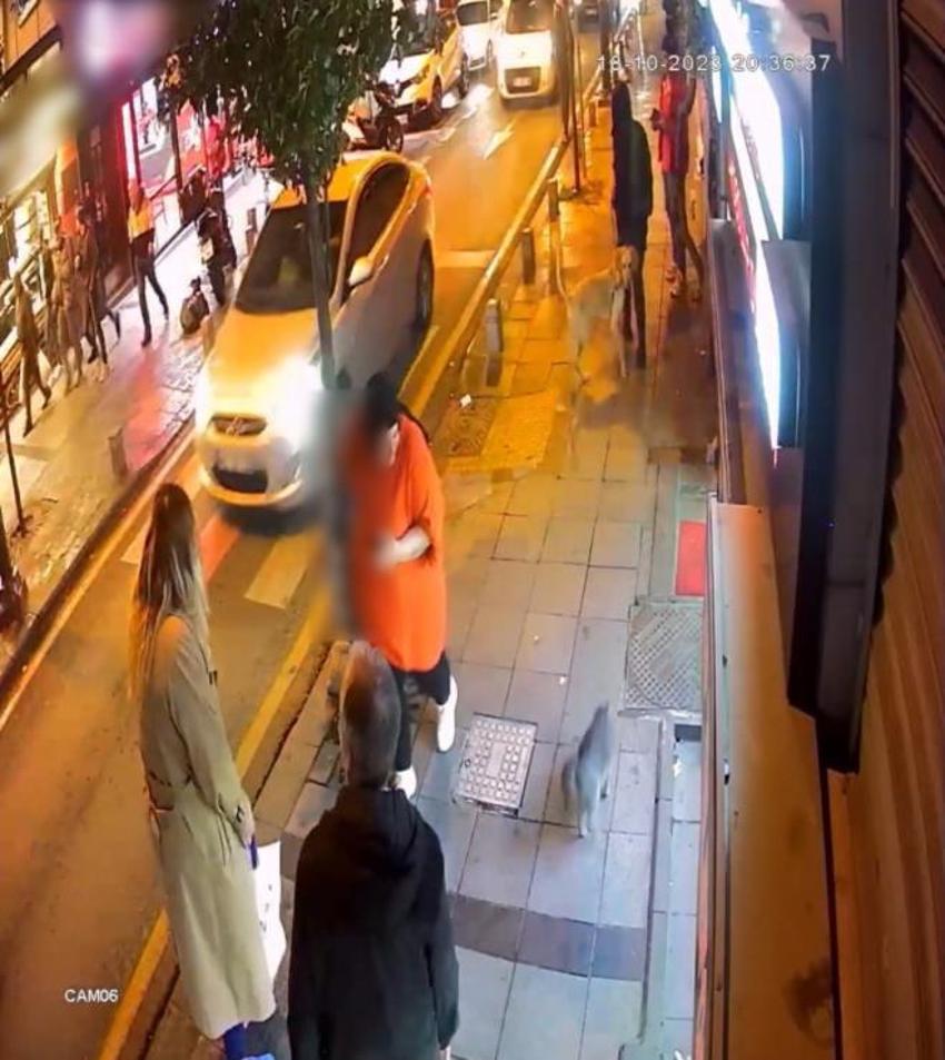 Yoldan geçen köpeklere saldıran mahallenin 'gri belası' doğum yapınca rahat nefes aldılar