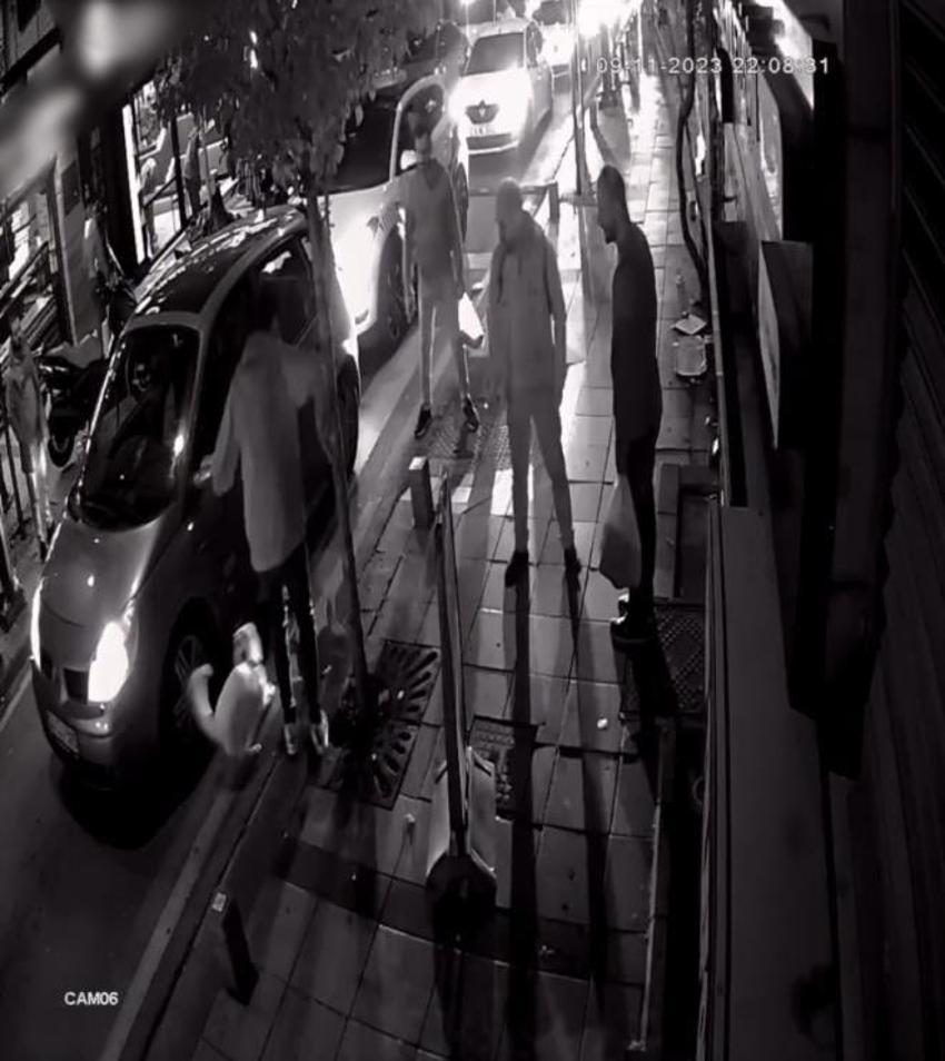 Yoldan geçen köpeklere saldıran mahallenin 'gri belası' doğum yapınca rahat nefes aldılar