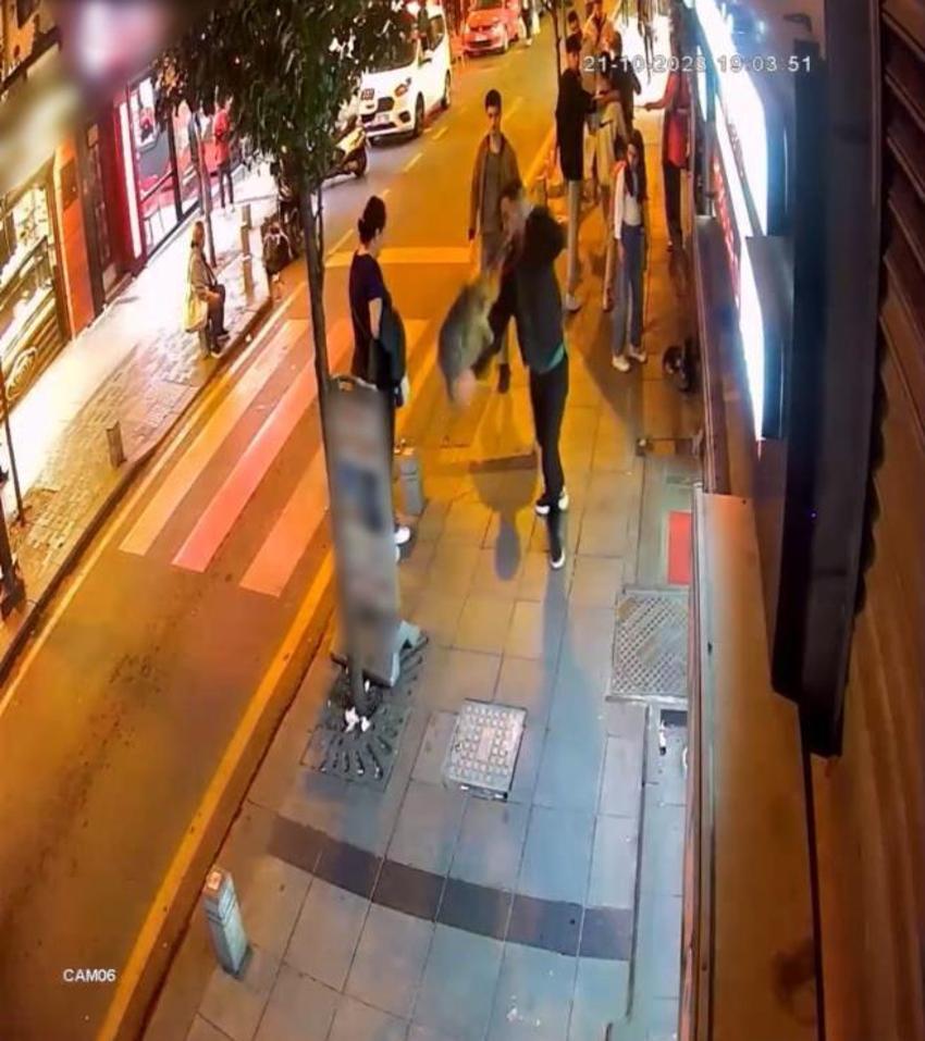 Yoldan geçen köpeklere saldıran mahallenin 'gri belası' doğum yapınca rahat nefes aldılar