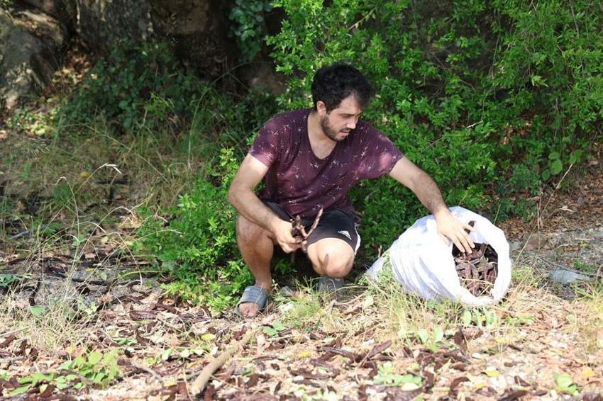 Adana'da kilosu 10 liradan satılacak! Cinsellikten kalp sağlığına kadar birçok faydası var