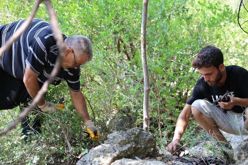Adana'da kilosu 10 liradan satılacak! Cinsellikten kalp sağlığına kadar birçok faydası var