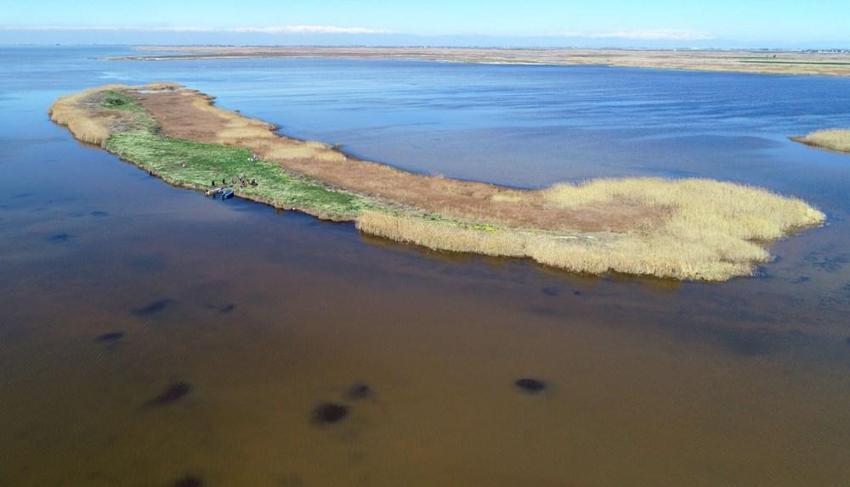 Adana'da vatandaşlar 5 yıl önce keşfetti hemen korumaya alındı! Gizli cennet herkesi büyülüyor