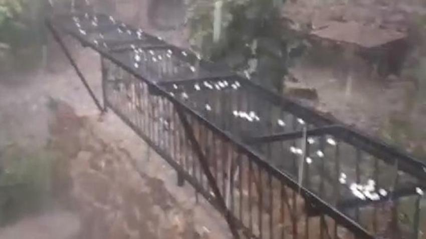 Adana'da Temmuz ayında dolu sürprizi! Her yer beyaza büründü, 14 il için sarı alarm verildi