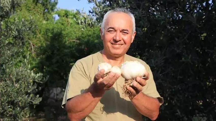 Adana toprağını sevdi! Arkadaşının hediye ettiği sarımsak işi oldu, tanesi 400 kiloyu geçiyor