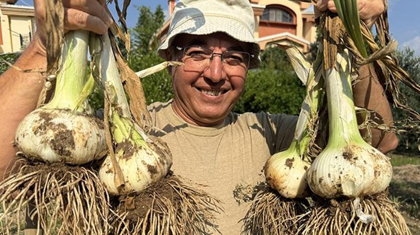 Adana toprağını sevdi! Arkadaşının hediye ettiği sarımsak işi oldu, tanesi 400 kiloyu geçiyor