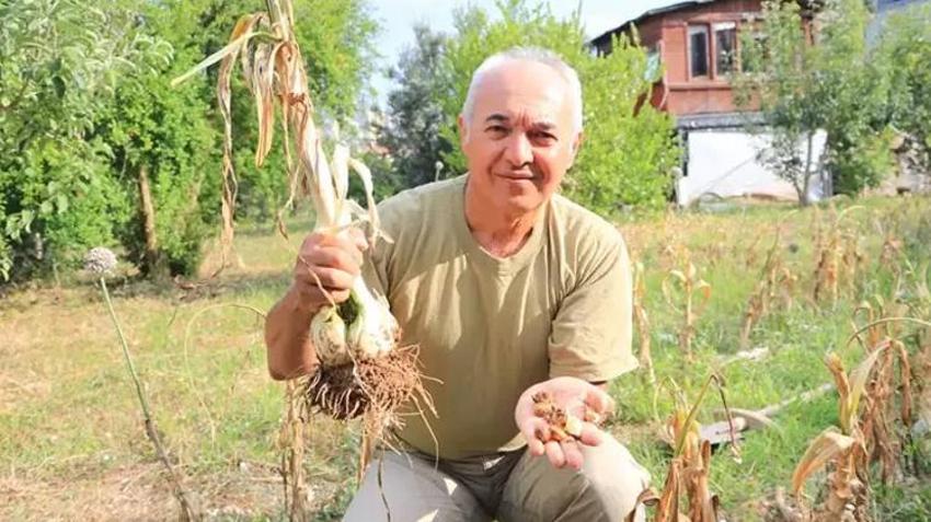 Adana toprağını sevdi! Arkadaşının hediye ettiği sarımsak işi oldu, tanesi 400 kiloyu geçiyor