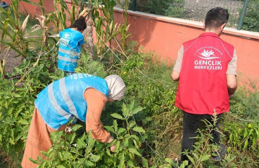 Adana Gençlik Merkezi bahçesinde 10 farklı tarım ürünü yetiştirdi
