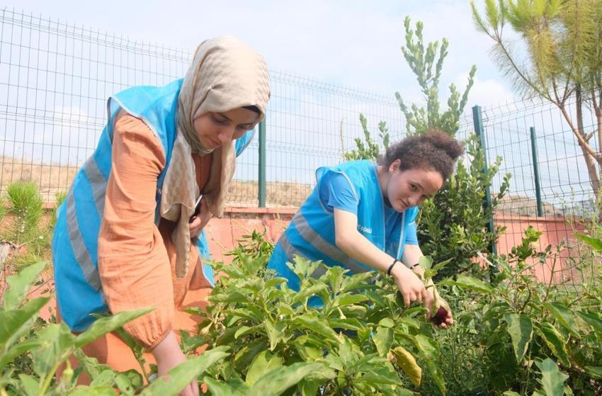 Adana Gençlik Merkezi bahçesinde 10 farklı tarım ürünü yetiştirdi