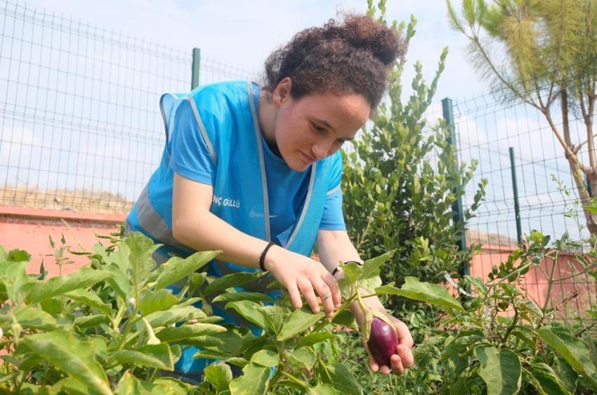 Adana Gençlik Merkezi bahçesinde 10 farklı tarım ürünü yetiştirdi