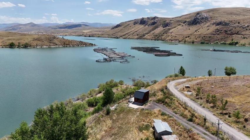 Erzincan'dan ülke ekonomisine büyük kazanç! Denizi yok ama birçok ile balık gönderiyor