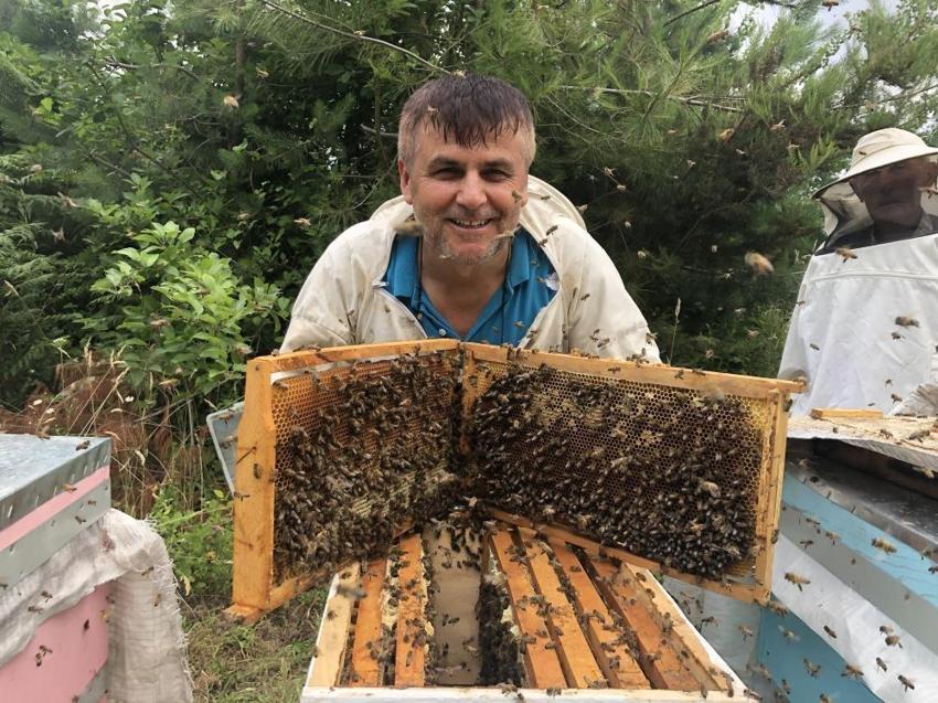 Bal üretimine darbe! Üretim yüzde 75 düştü, fiyatlara yansıyacak