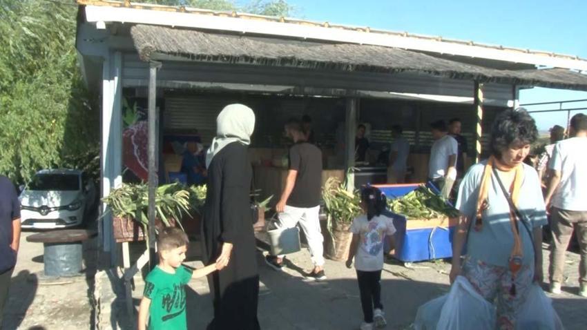 İstanbullular bu tarlaya akın ediyor Vatandaşlar tarladan topladıkları ürünleri satın alıyor, yeni trend oldu